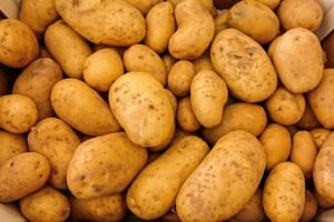 栄養価の高い宅配弁当でダイエットを成功させる方法は？