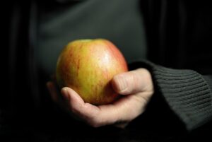 ご当地宅配弁当を使ったダイエットの成功法は？
