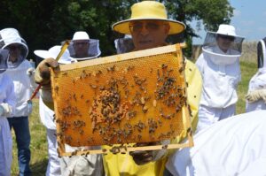 寝る前に効果的なダイエット宅食の置き換え方法は？