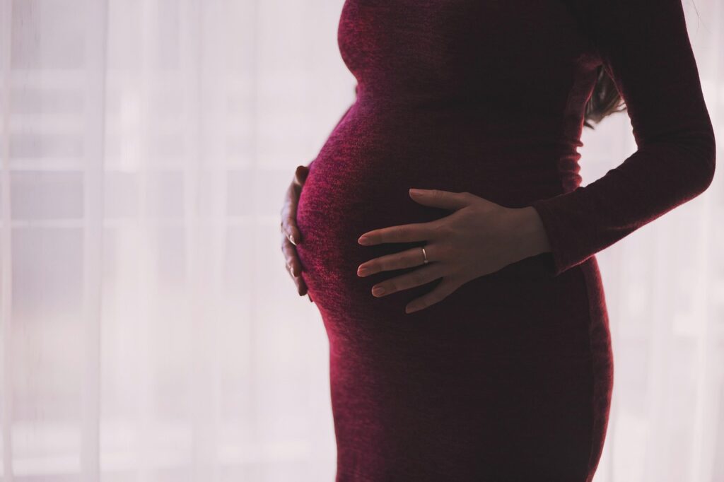 妊娠中でも安全に利用できるダイエット宅配弁当は？