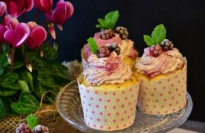宅配食を利用した糖質・塩分・カロリー管理のポイントは？