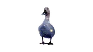 三ツ星ファームの味はどのように評価されているのか？