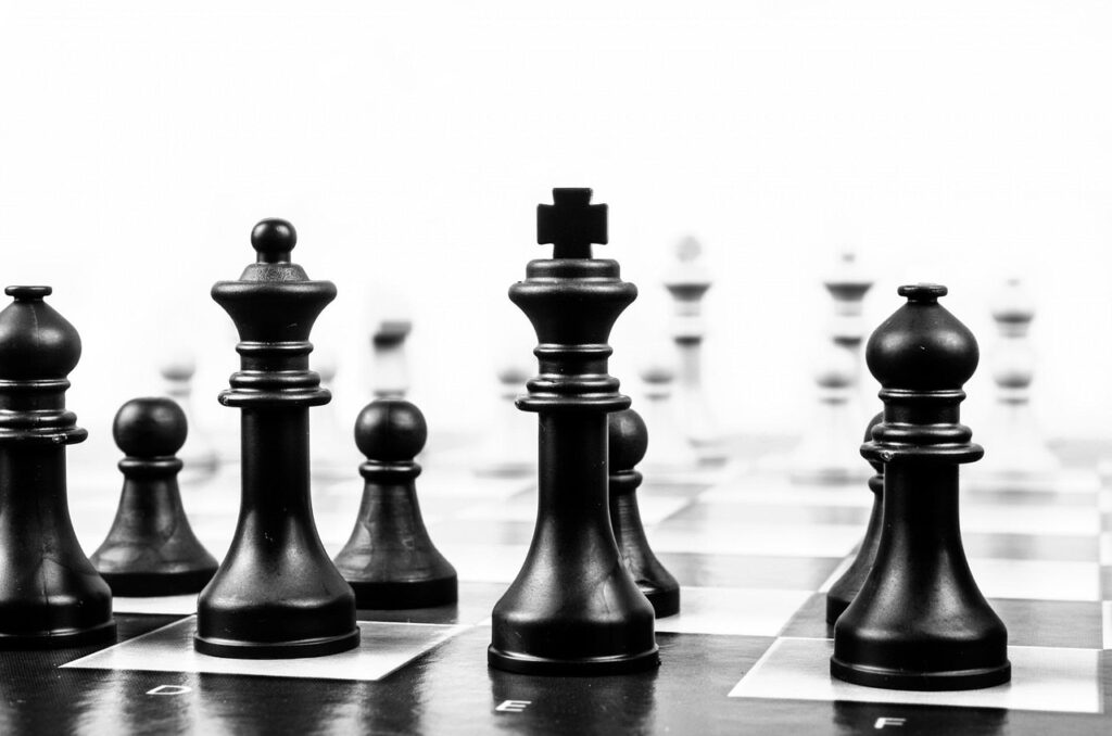 わんまいるとナッシュの違いを徹底解説しますか？