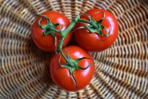 食宅便を使ったダイエットの口コミはどれほど効果的なのか？