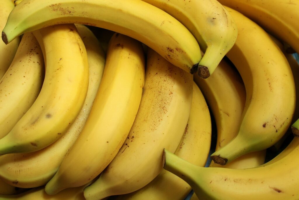 宅食を利用したダイエットに最適な一人暮らしの食事法は？